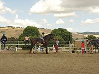 Tekiowa the Clydesdale